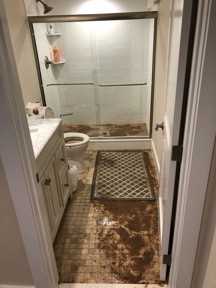 sewage cleanup services