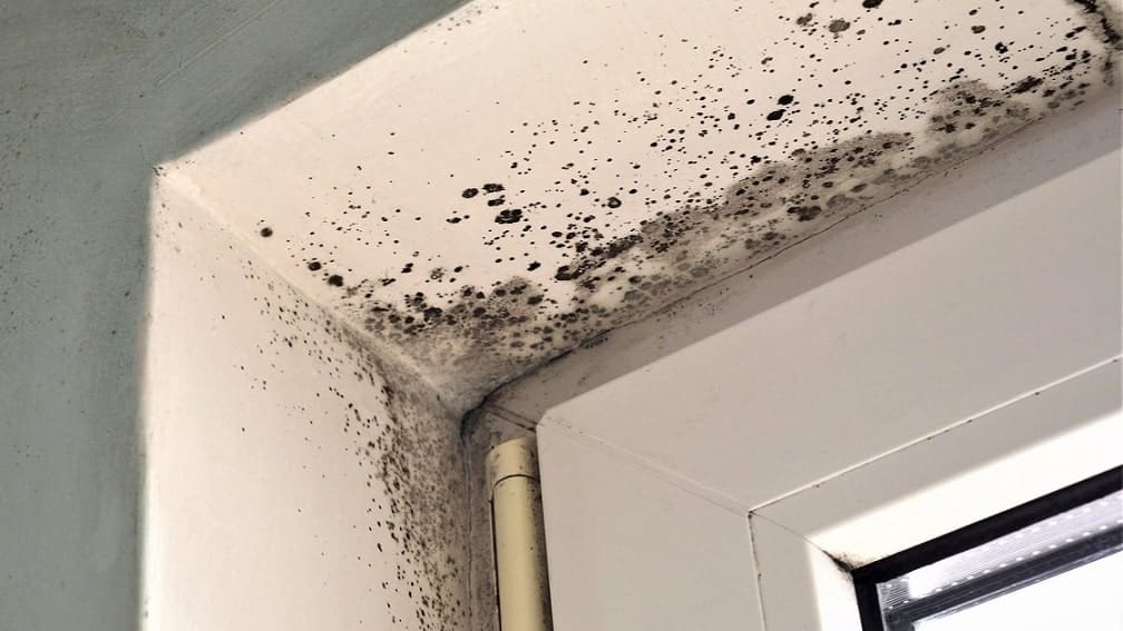 doorway mold in the cold