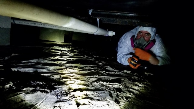 crawl space mold remediation
