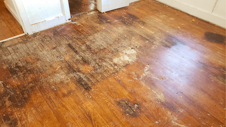 hardwood floor water stains
