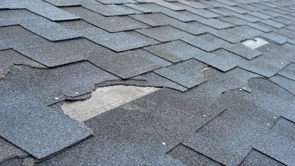 damaged roof shingles
