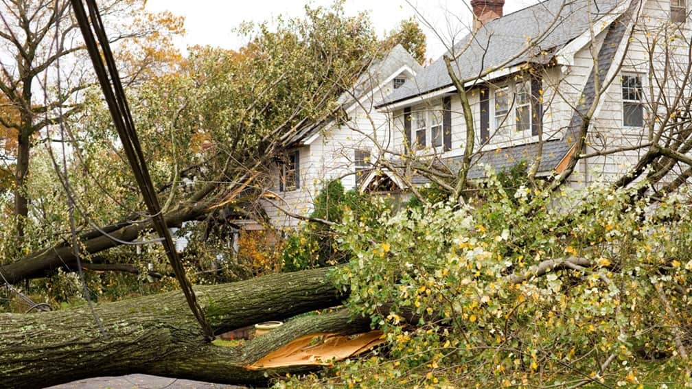 fallen trees and property damage from tornado