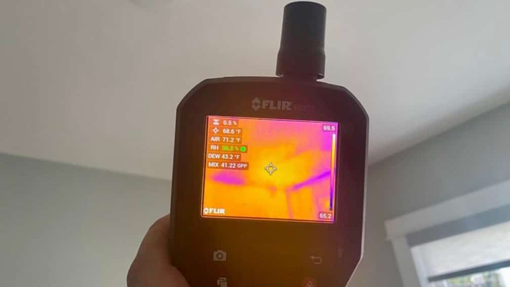 moisture meter detects water damage